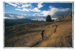Okanagan